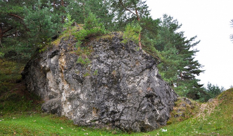 Rezervatia Purcareni